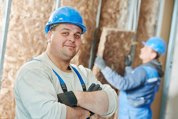 Best Blown-in Insulation in Mesita, NM