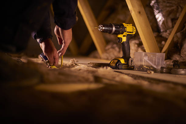 Best Specialized Insulation Services in Mesita, NM
