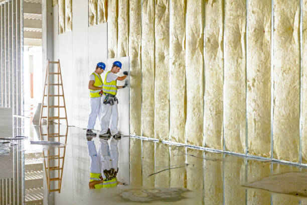 Best Cellulose Insulation in Mesita, NM